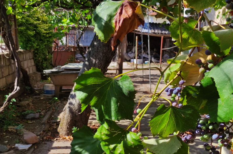 Zu verkaufen  Haus region Wraza , Botunja , 100 qm | 93455032 - Bild [13]