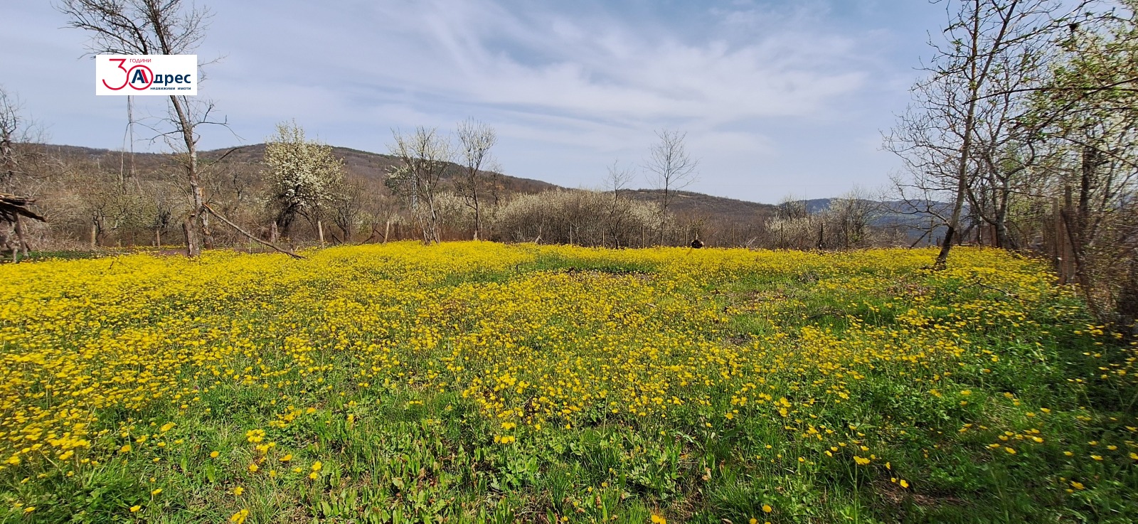 Продава КЪЩА, гр. Елена, област Велико Търново, снимка 6 - Къщи - 54213310