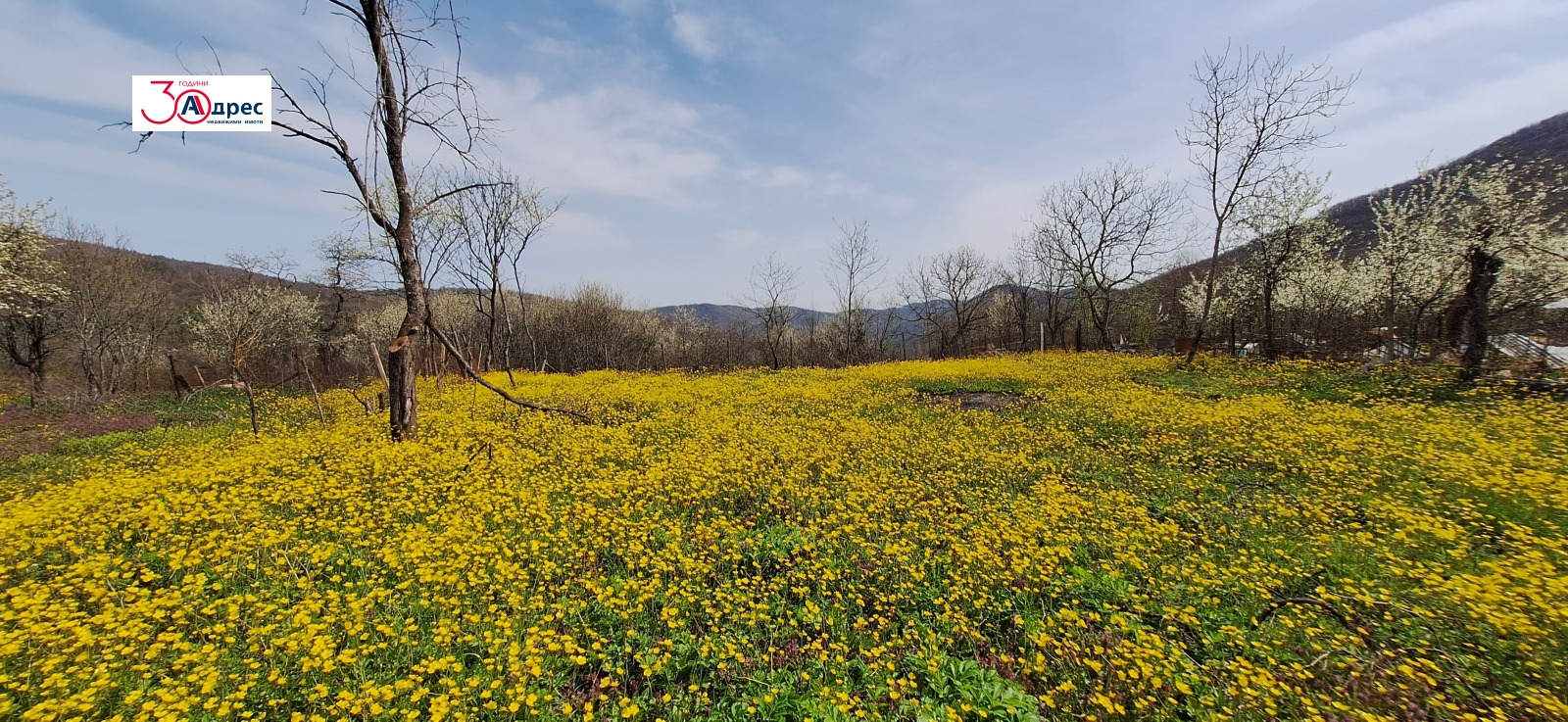 Продава КЪЩА, гр. Елена, област Велико Търново, снимка 3 - Къщи - 54213310