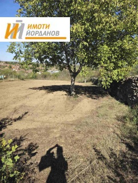 Plot Samovodene, region Veliko Tarnovo 3