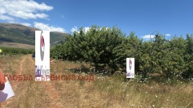 ������� ���������� ���� | Imot.bg � ����� ������ 6