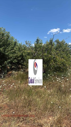 ������� ���������� ���� | Imot.bg � ����� ������ 5