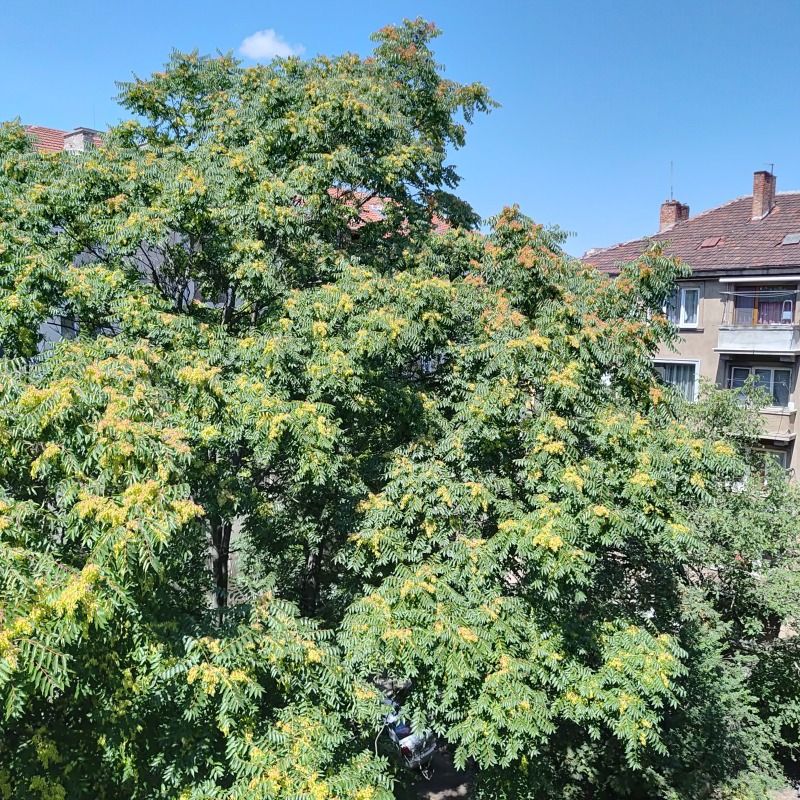 Продава  3-стаен град София , Център , 92 кв.м | 30226542 - изображение [17]
