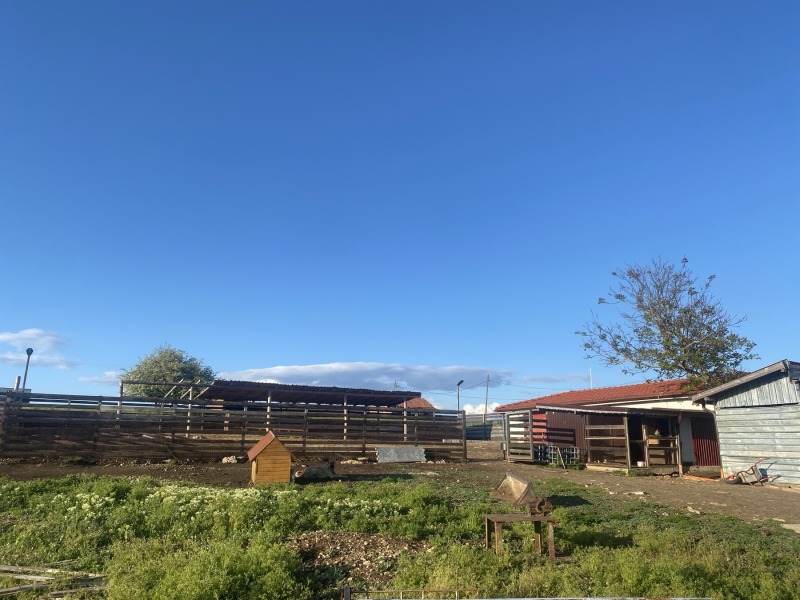 Zu verkaufen  Haus region Sofia , Godetsch , 4448 qm | 15816078 - Bild [9]