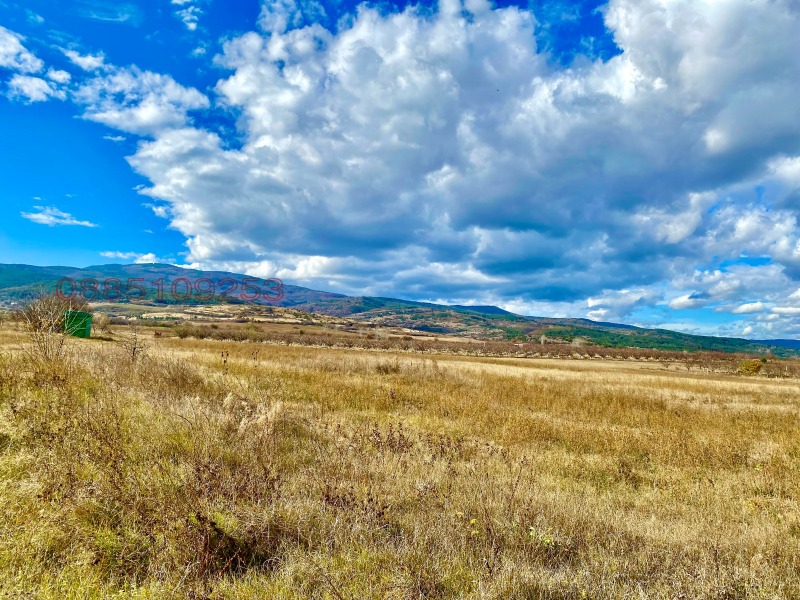 Продава ПАРЦЕЛ, с. Соволяно, област Кюстендил, снимка 3 - Парцели - 52785501