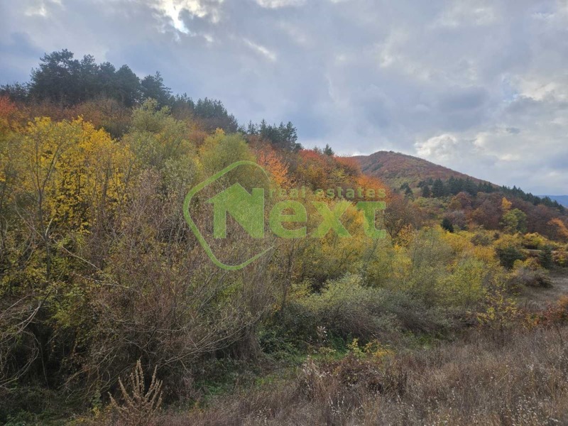 Продаја  Плот регион Софиа , Костенец , 1247 м2 | 31604639 - слика [6]