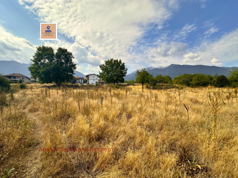 In vendita  Complotto regione Blagoevgrad , Bansko , 1437 mq | 99781362 - Immagine [5]