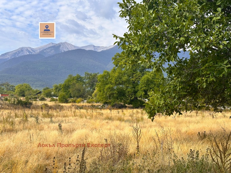 In vendita  Complotto regione Blagoevgrad , Bansko , 1437 mq | 99781362 - Immagine [3]
