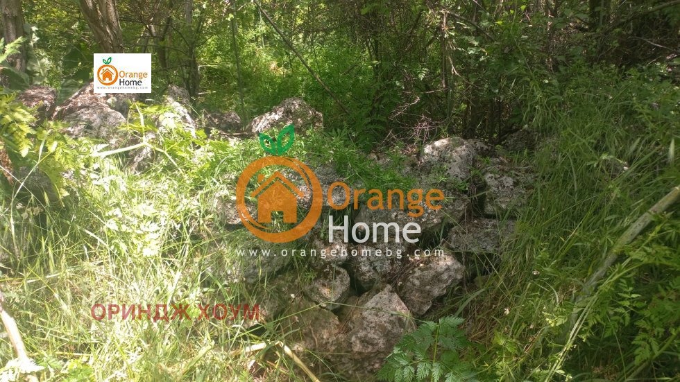 Продава КЪЩА, с. Видно, област Добрич, снимка 3 - Къщи - 54739187