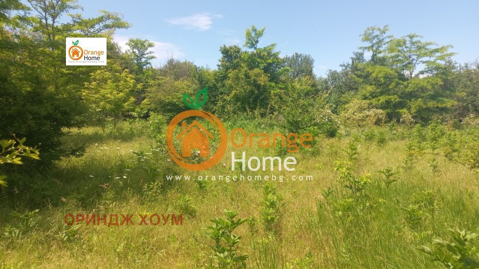 Продава КЪЩА, с. Видно, област Добрич, снимка 4 - Къщи - 54739187