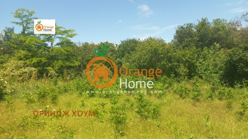 Продава КЪЩА, с. Видно, област Добрич, снимка 5 - Къщи - 54739187