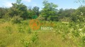 Продава КЪЩА, с. Видно, област Добрич, снимка 6