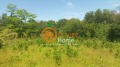 Продава КЪЩА, с. Видно, област Добрич, снимка 5