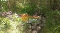 Продава  Къща област Добрич , с. Видно , 83 кв.м | 22899146 - изображение [2]