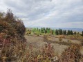Продава ПАРЦЕЛ, област София, с. Костенец • 9000 € • 87548429 — Holmes.bg
