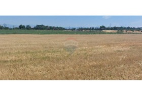 For Sale Plot
