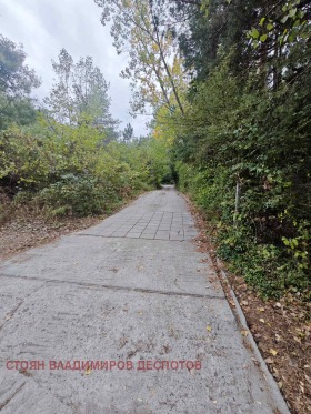 ����� ������� ������,���� �����, �����>