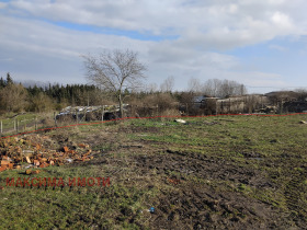 ����� ������� ������,�. �������, ������ ������