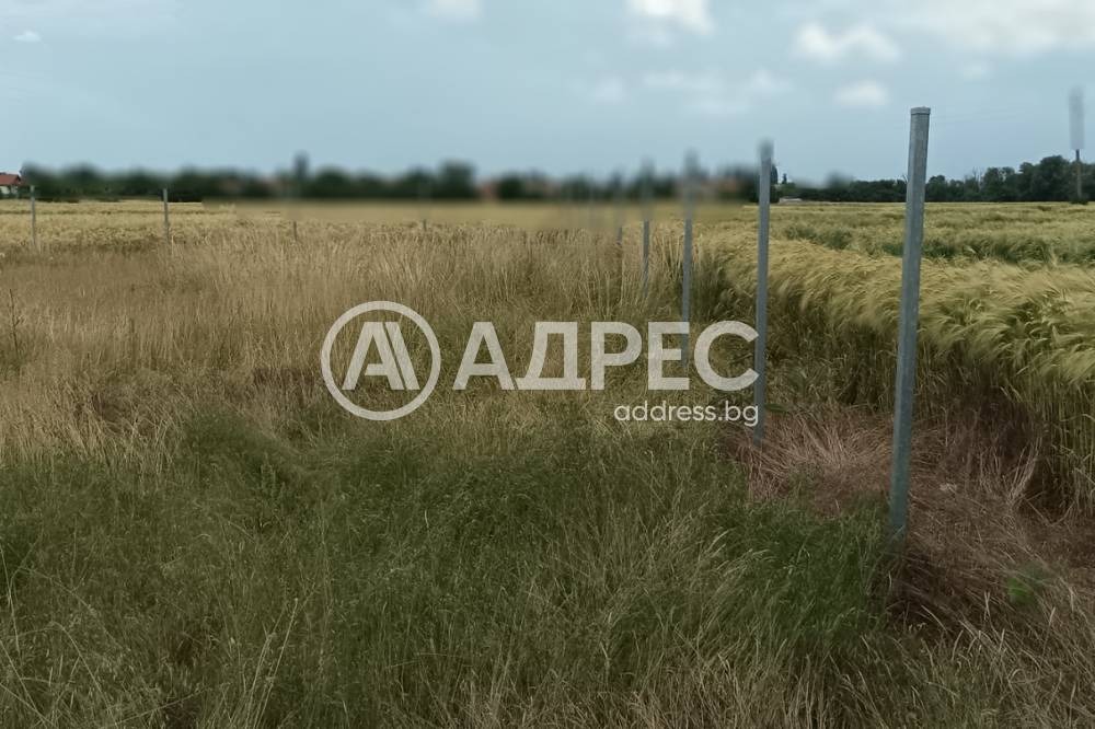 Продава ПАРЦЕЛ, с. Голяновци, област София област, снимка 2 - Парцели - 55923627