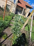 Продава КЪЩА, с. Агатово, област Габрово, снимка 1