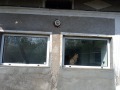 Продава КЪЩА, с. Мечка, област Плевен, снимка 12