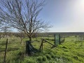 Продава ПАРЦЕЛ, област Русе, с. Щръклево • 18900 € • 42160241 — Holmes.bg