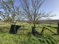 Продава ПАРЦЕЛ, област Русе, с. Щръклево • 18900 € • 42160241 — Holmes.bg