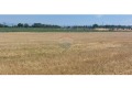 Продава ПАРЦЕЛ, град Пловдив, Отдих и култура • 158880 € • 33618883 — Holmes.bg
