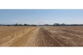 Продава ПАРЦЕЛ, град Пловдив, Отдих и култура • 158880 € • 33618883 — Holmes.bg