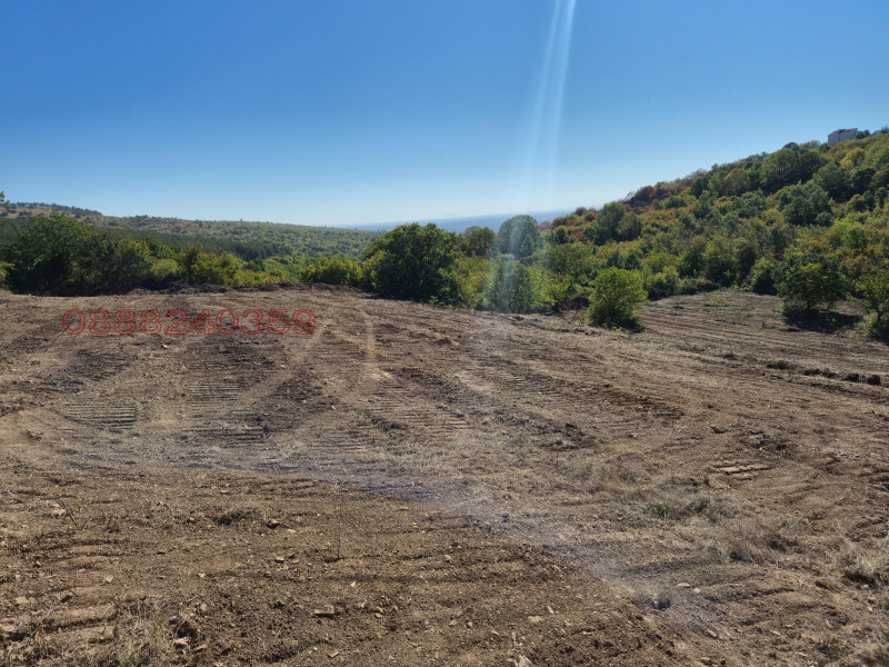 Продава ПАРЦЕЛ, с. Малка Верея, област Стара Загора, снимка 4 - Парцели - 52784444