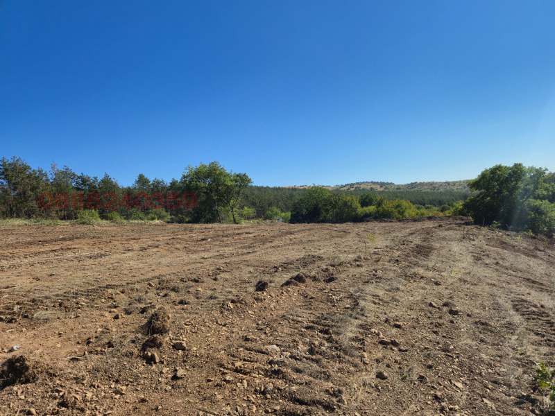 Продава ПАРЦЕЛ, с. Малка Верея, област Стара Загора, снимка 2 - Парцели - 52784444