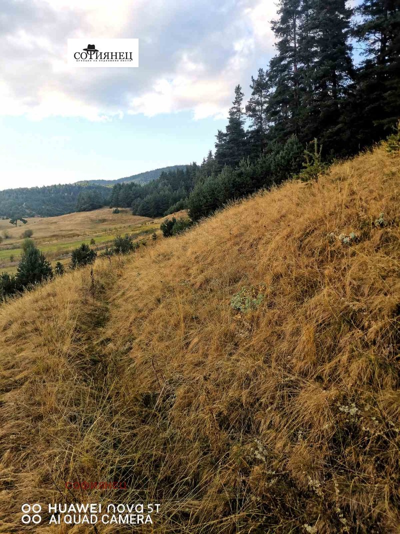 Zu verkaufen  Handlung region Pasardschik , Sarniza , 4479 qm | 85176775 - Bild [5]