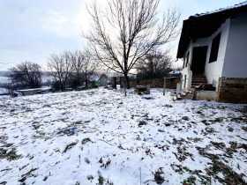 ����� ������� ����,��. ����, ������ ����