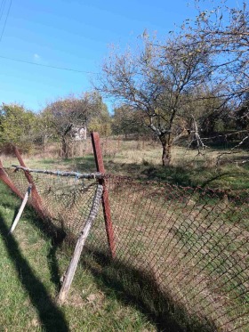 Plot Gigintsi, region Pernik 1