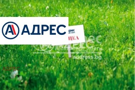 ������ ������� ������