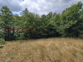 ������� ������ | Imot.bg � ����� ������ 2