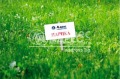 Продава ПАРЦЕЛ, гр. Игнатиево, област Варна, снимка 1