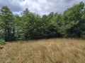 Продава  Парцел област София , с. Дреново , 916 кв.м | 10111488 - изображение [2]