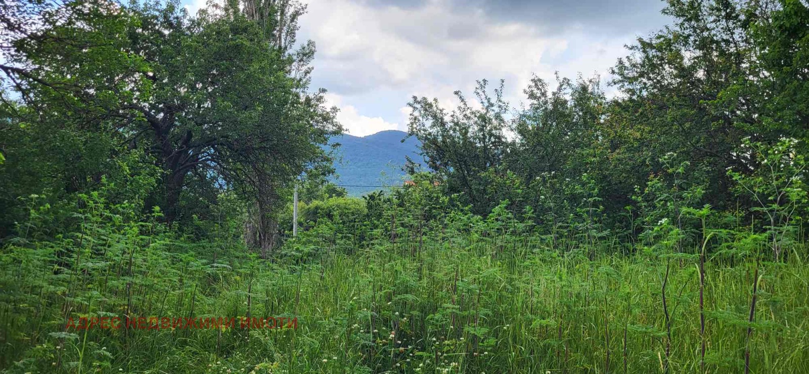 Продава КЪЩА | Imot.bg — изображение 5