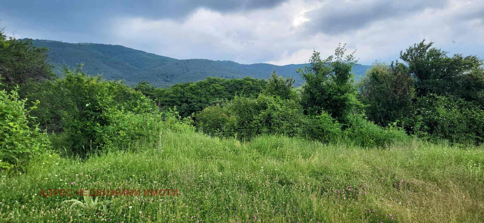 Продава КЪЩА | Imot.bg — изображение 4