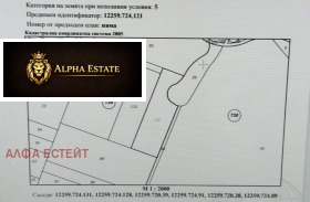 ������ ������� ������