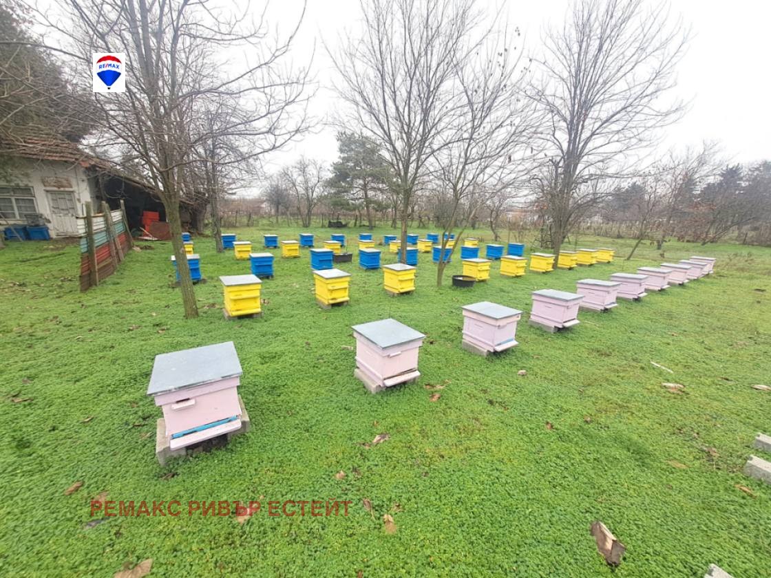 ������� ������ | Imot.bg � ����������� 12