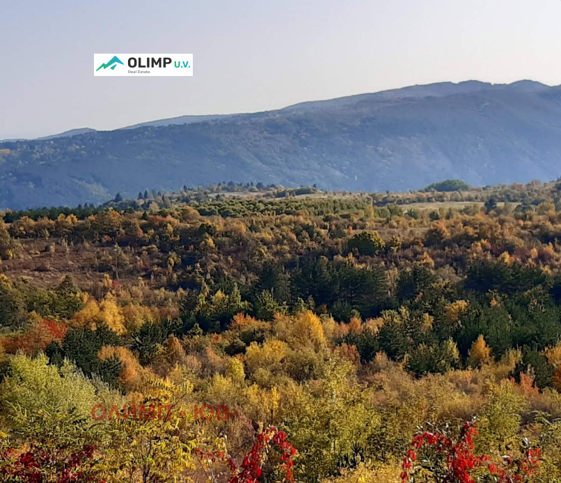 ������� ������ | Imot.bg � ����������� 5