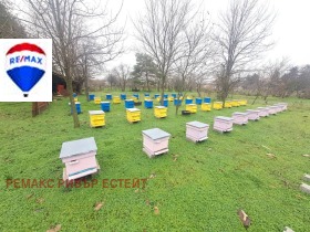 ������� ������ | Imot.bg � ����� ������ 12