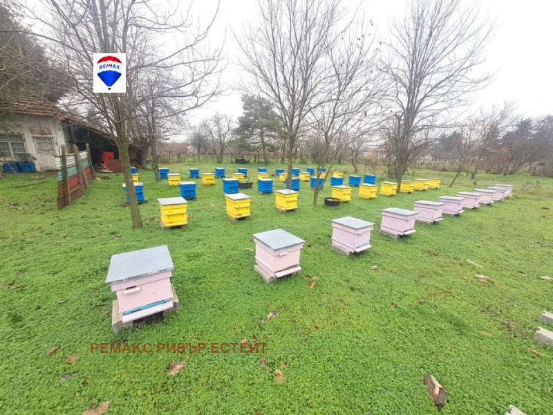 Продава ПАРЦЕЛ, с. Бръшлен, област Русе, снимка 12 - Парцели - 52884792