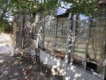 Продава КЪЩА, област Добрич, с. Миладиновци • 67000 лв. / 34256.56 € • 22128946 6