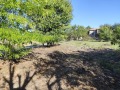 Продава КЪЩА, област Добрич, с. Миладиновци • 67000 лв. / 34256.56 € • 22128946 4