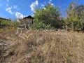 Продава КЪЩА, град Варна, м-т Планова • 75000 € • 45316499 — Holmes.bg