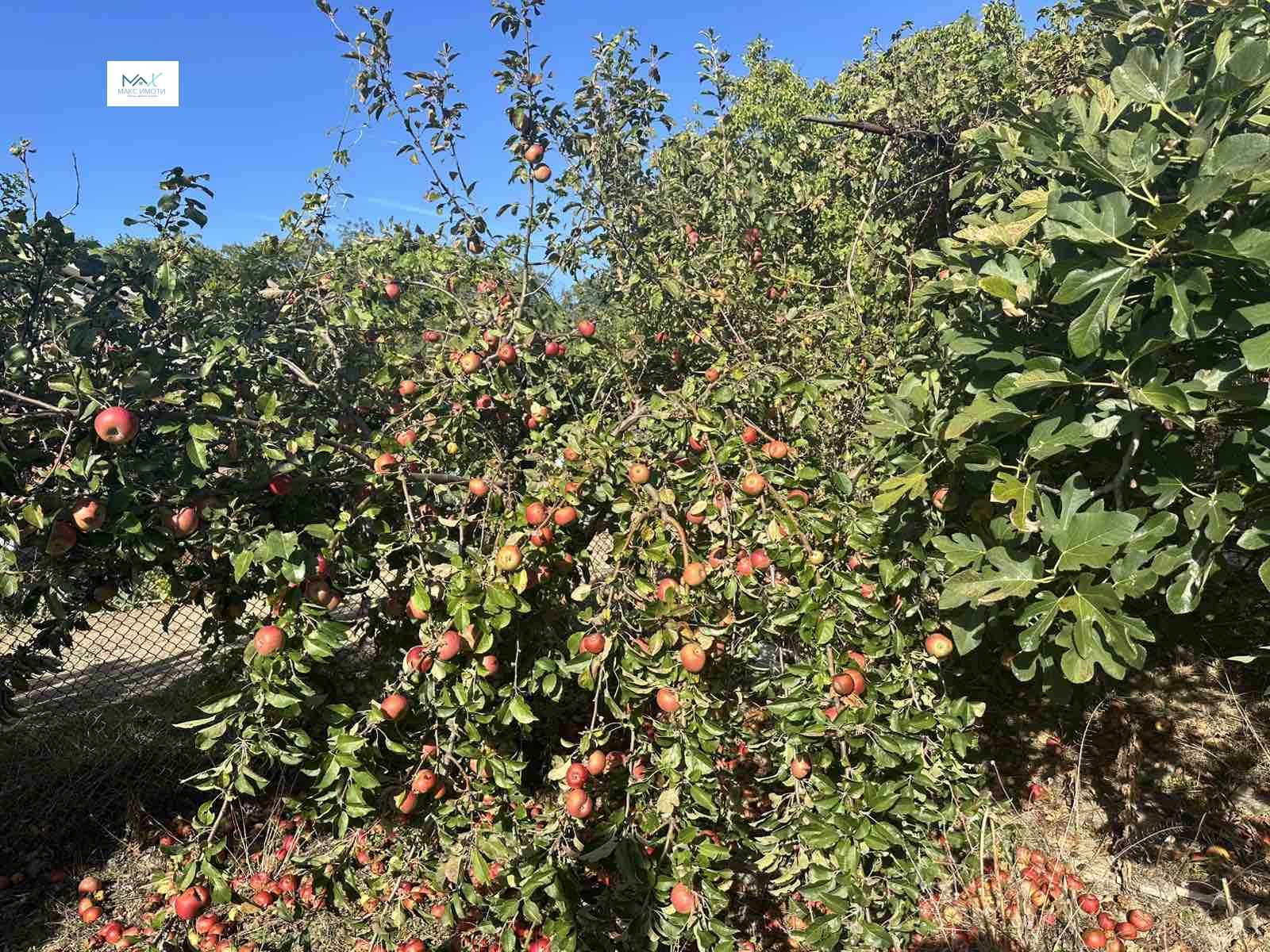 ������� ������ | Imot.bg � ����������� 4