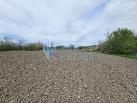 ����� ������� ����,�. �����������, ������ ������ �������